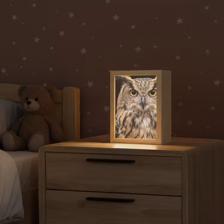 Oehoe - Uil - Portret - Bruin Light Box met kabel (Kinderlampje) klein -sfeer1_kind