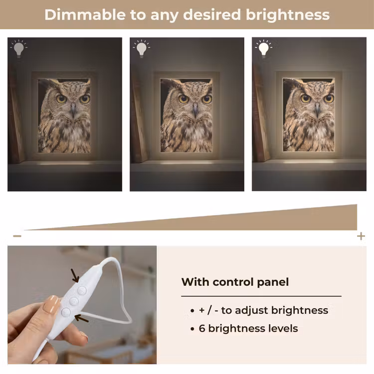 Oehoe - Uil - Portret - Bruin Light Box met kabel (Kinderlampje) klein -USP_dimbaarEN