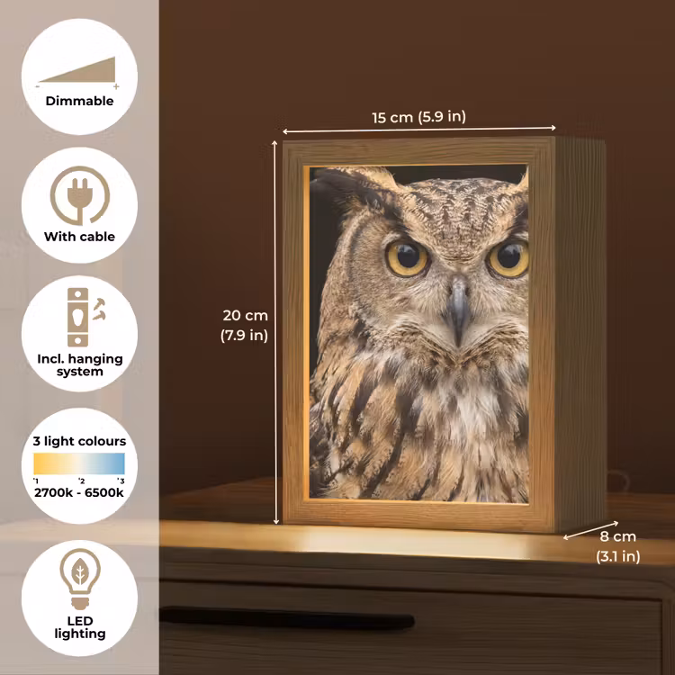 Oehoe - Uil - Portret - Bruin Light Box met kabel (Kinderlampje) klein -USP_EN