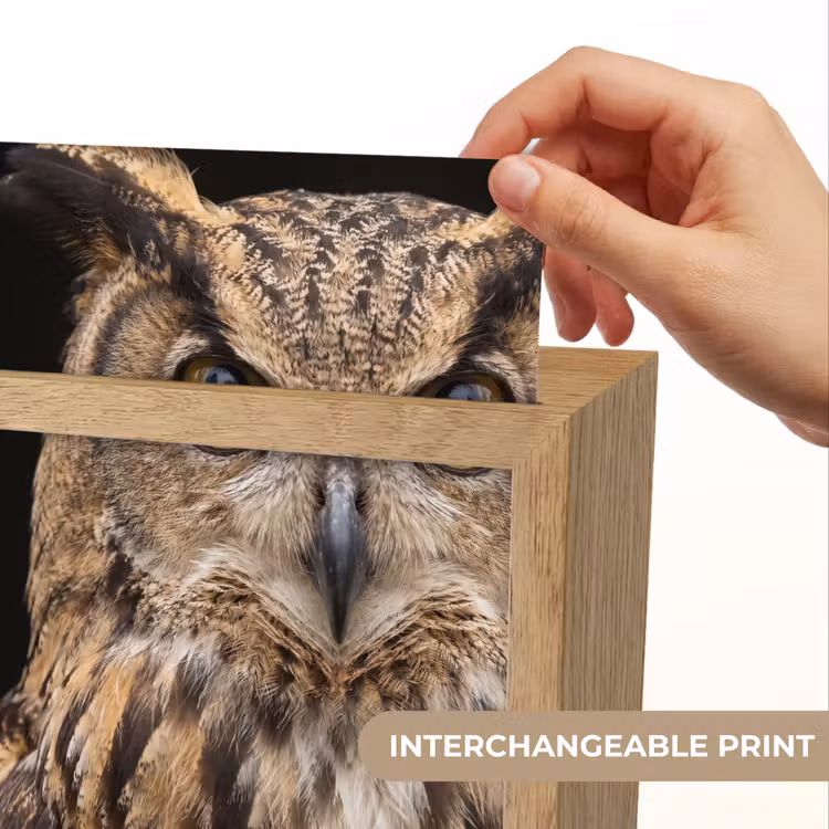 Oehoe - Uil - Portret - Bruin Light Box met kabel (Kinderlampje) klein -USP_websiteprintEN