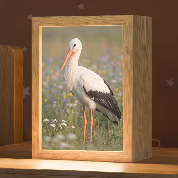 Ooienvaar - Bloemen - Weide - Kleurrijk Light Box met kabel (Kinderlampje) klein -zzz_3d_website