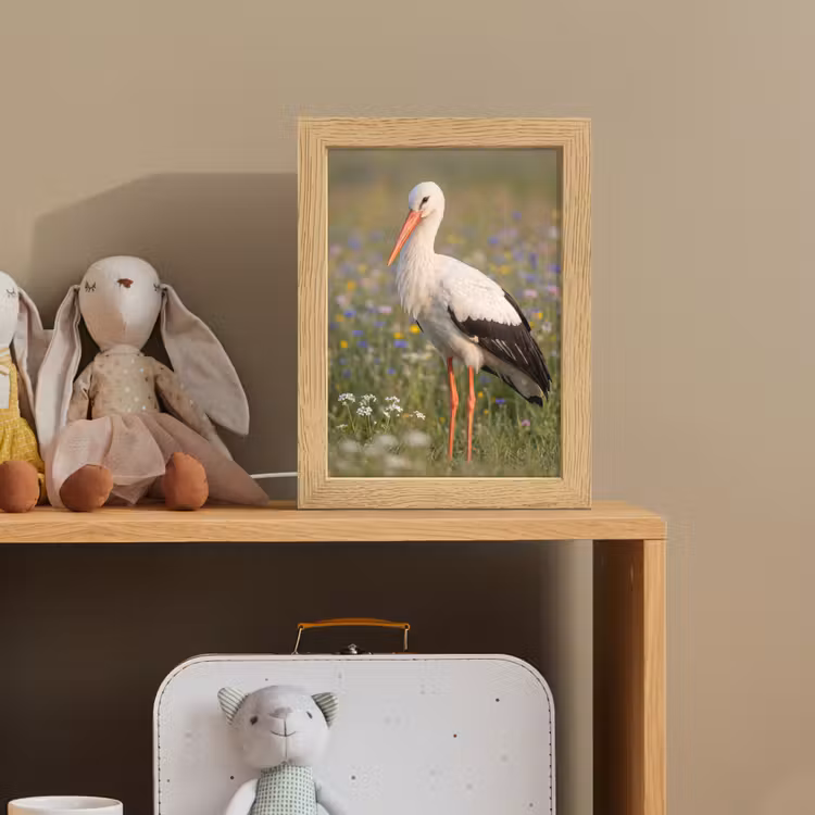 Ooienvaar - Bloemen - Weide - Kleurrijk Light Box met kabel (Kinderlampje) klein -sfeer2_kind