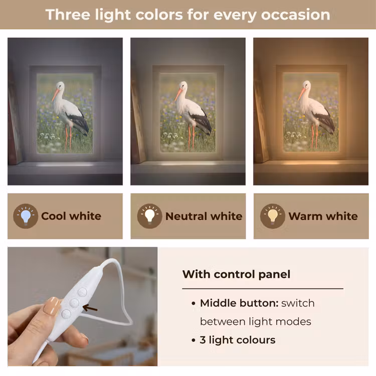 Ooienvaar - Bloemen - Weide - Kleurrijk Light Box met kabel (Kinderlampje) klein -USP_lichtkleurEN