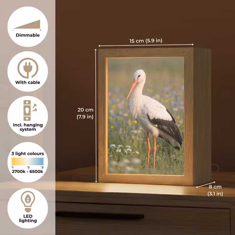 Ooienvaar - Bloemen - Weide - Kleurrijk Light Box met kabel (Kinderlampje) klein -USP_EN