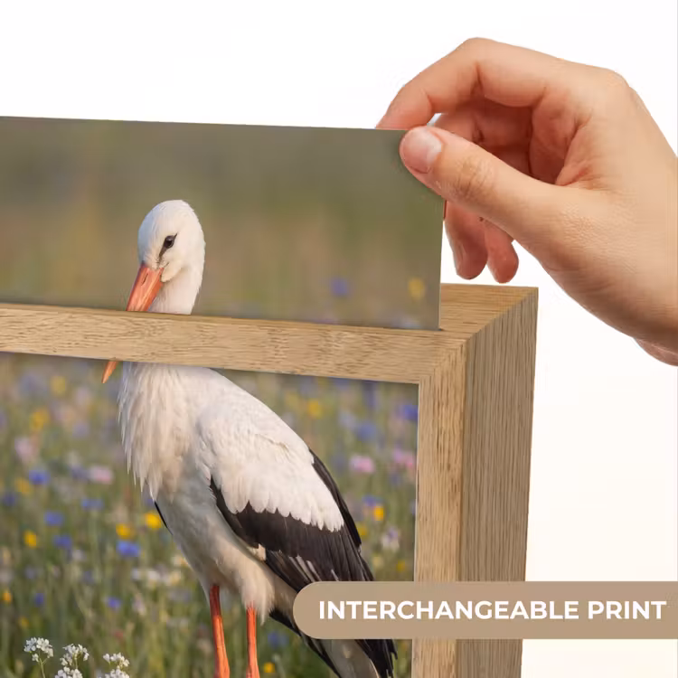Ooienvaar - Bloemen - Weide - Kleurrijk Light Box met kabel (Kinderlampje) klein -USP_websiteprintEN