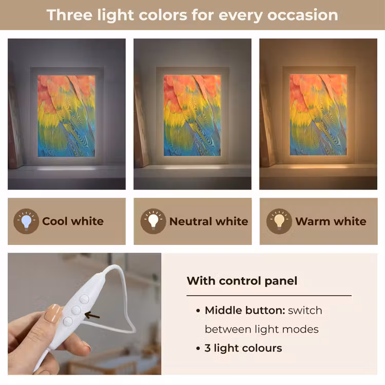 Veren - Ara - Kleurrijk Light Box met kabel (Kinderlampje) klein -USP_lichtkleurEN