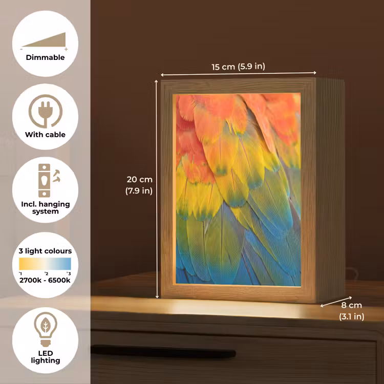 Veren - Ara - Kleurrijk Light Box met kabel (Kinderlampje) klein -USP_EN