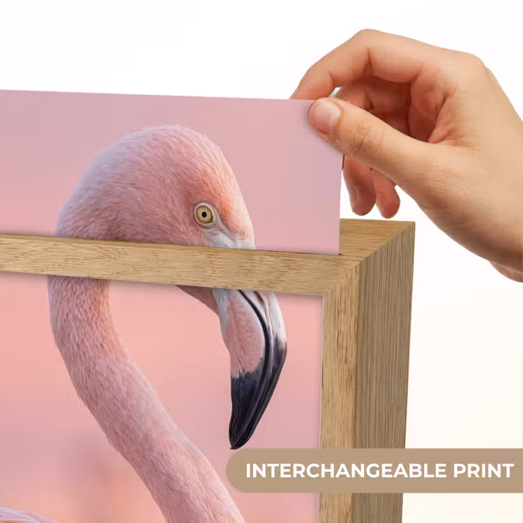 Flamingo - Portret - Roze Light Box met kabel (Kinderlampje) klein -USP_websiteprintEN
