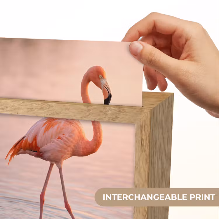 Flamingo - Water - Roze Light Box met kabel (Kinderlampje) klein -USP_websiteprintEN