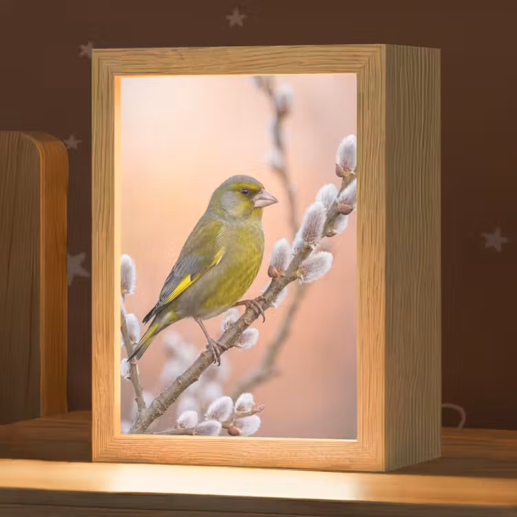 Groenling - Katjes - Lente - Natuur - Zacht Light Box met kabel (Kinderlampje) klein -zzz_3d_website