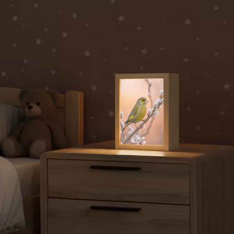 Groenling - Katjes - Lente - Natuur - Zacht Light Box met kabel (Kinderlampje) klein -sfeer1_kind