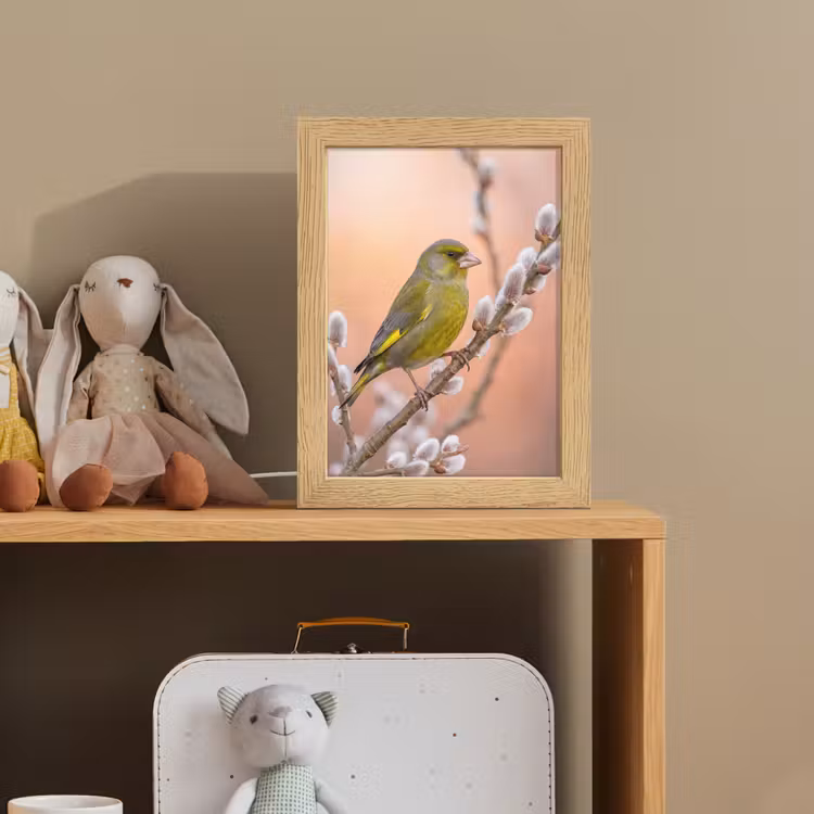 Groenling - Katjes - Lente - Natuur - Zacht Light Box met kabel (Kinderlampje) klein -sfeer2_kind