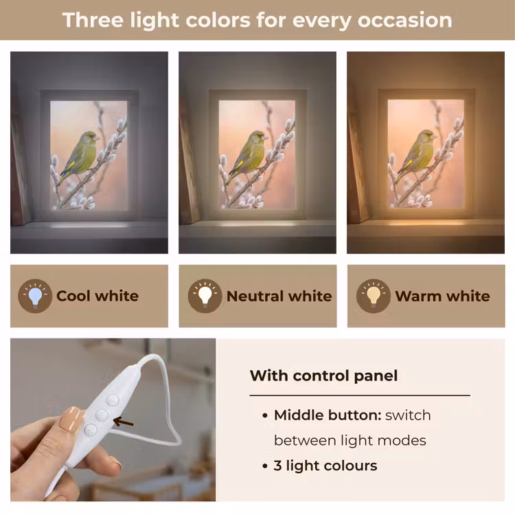 Groenling - Katjes - Lente - Natuur - Zacht Light Box met kabel (Kinderlampje) klein -USP_lichtkleurEN