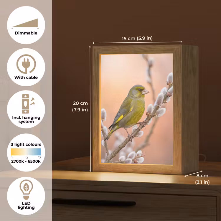 Groenling - Katjes - Lente - Natuur - Zacht Light Box met kabel (Kinderlampje) klein -USP_EN