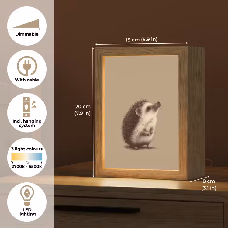 Egel - Snuitje - Bruin - Stekels Light Box met kabel (Kinderlampje) klein -USP_EN