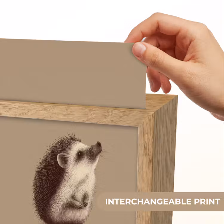 Egel - Snuitje - Bruin - Stekels Light Box met kabel (Kinderlampje) klein -USP_websiteprintEN