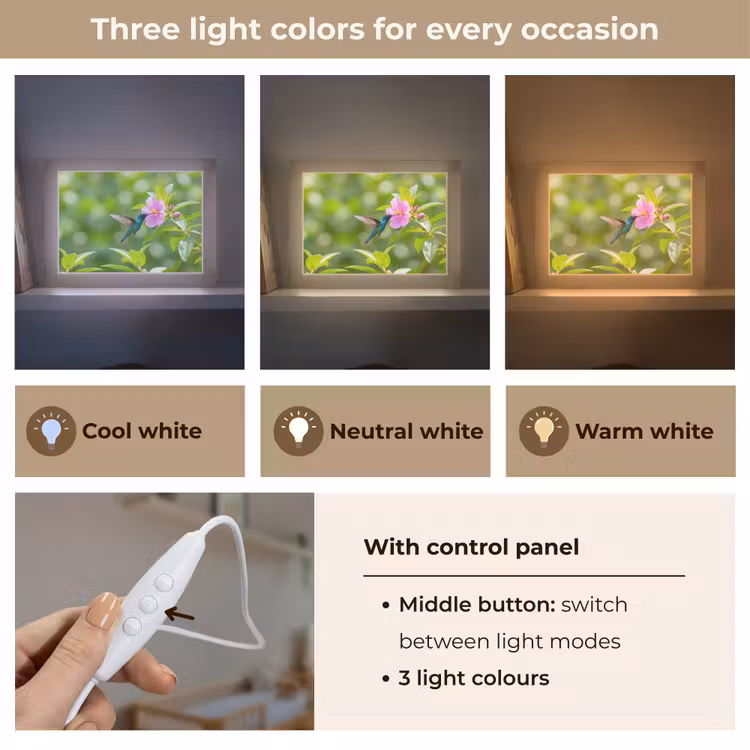 Kolibrie - Bloem - Natuur - Groen Light Box met kabel (Kinderlampje) klein -USP_lichtkleurEN
