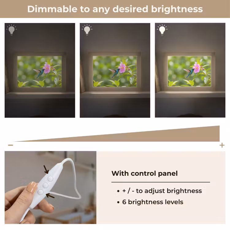 Kolibrie - Bloem - Natuur - Groen Light Box met kabel (Kinderlampje) klein -USP_dimbaarEN