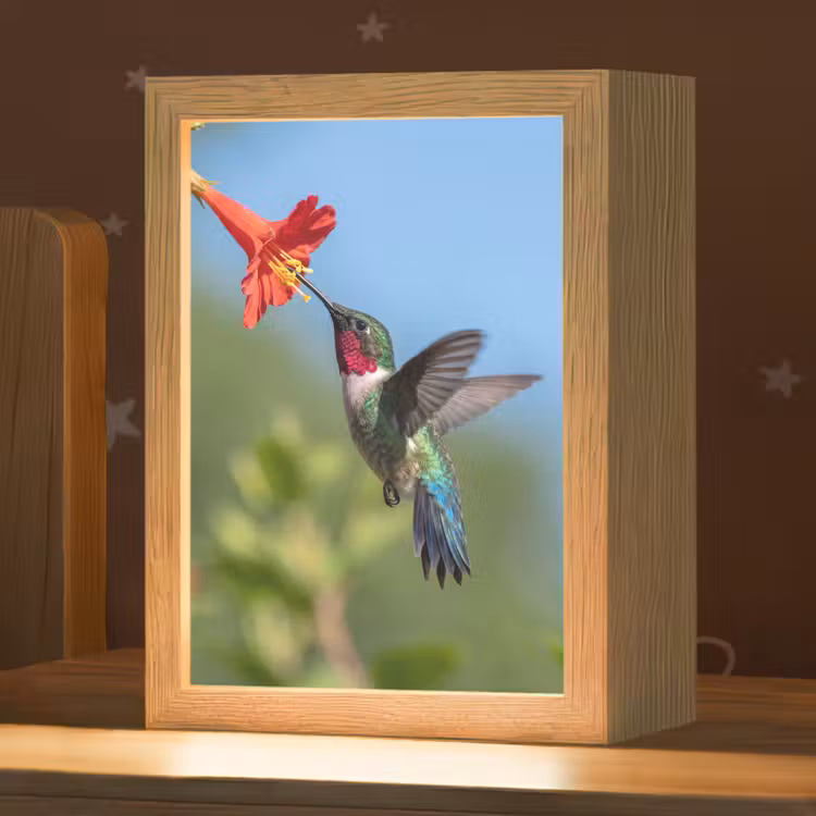 Kolibrie - Bloem - Natuur - Groen Light Box met kabel (Kinderlampje) klein -zzz_3d_website