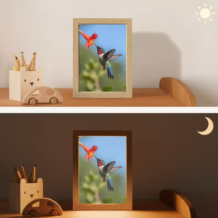 Kolibrie - Bloem - Natuur - Groen Light Box met kabel (Kinderlampje) klein -sfeer3_kind