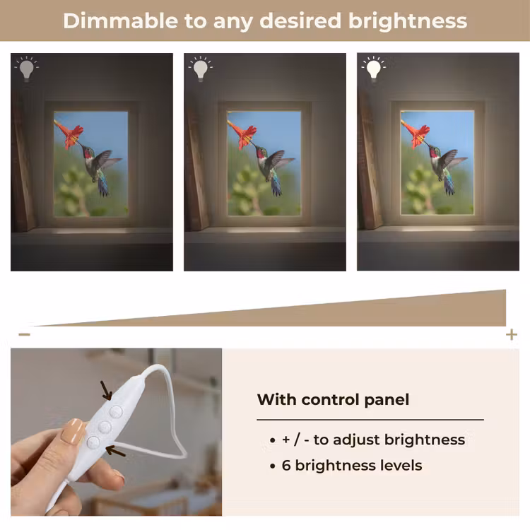 Kolibrie - Bloem - Natuur - Groen Light Box met kabel (Kinderlampje) klein -USP_dimbaarEN