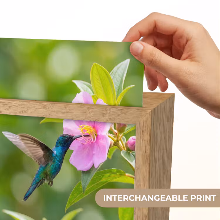 Kolibrie - Bloem - Natuur - Groen Light Box met kabel (Kinderlampje) klein -USP_websiteprintEN