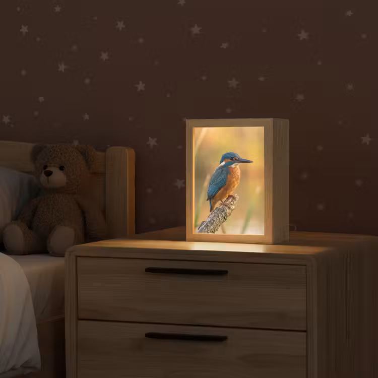 IJsvogel - Tak - Water - Kleurrijk - Levendig Light Box met kabel (Kinderlampje) klein -sfeer1_kind