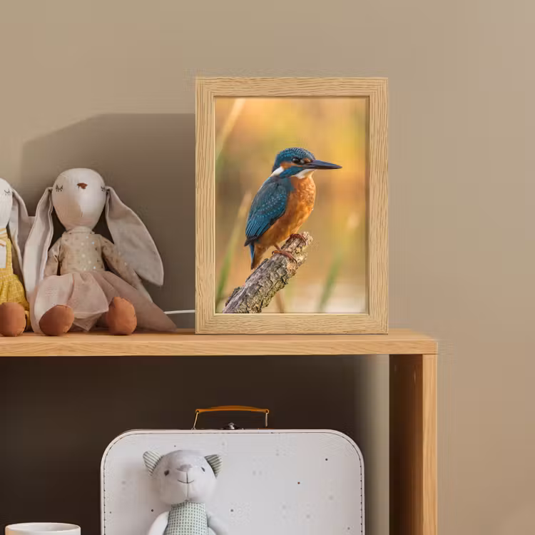 IJsvogel - Tak - Water - Kleurrijk - Levendig Light Box met kabel (Kinderlampje) klein -sfeer2_kind