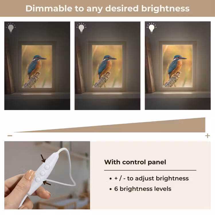 IJsvogel - Tak - Water - Kleurrijk - Levendig Light Box met kabel (Kinderlampje) klein -USP_dimbaarEN