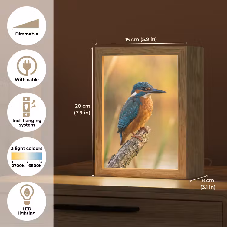 IJsvogel - Tak - Water - Kleurrijk - Levendig Light Box met kabel (Kinderlampje) klein -USP_EN