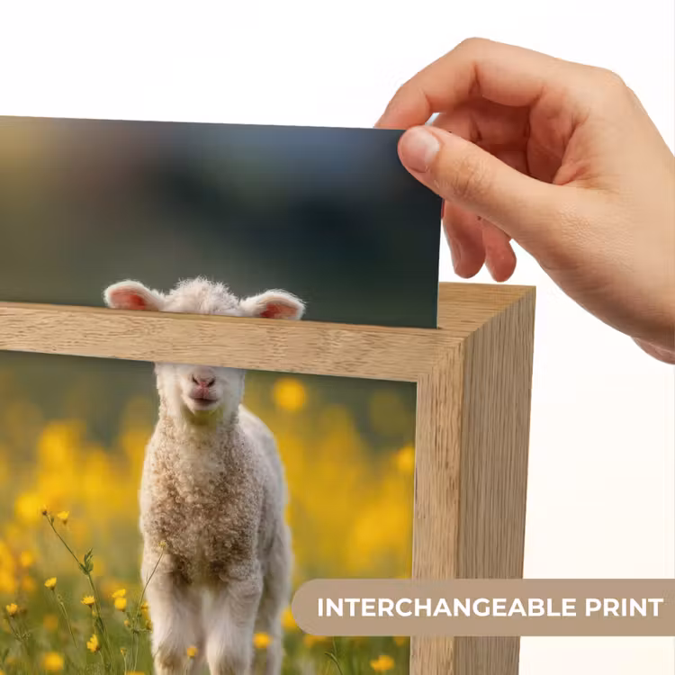 Lammetje - Gras - Bloemen - Geel Light Box met kabel (Kinderlampje) klein -USP_websiteprintEN