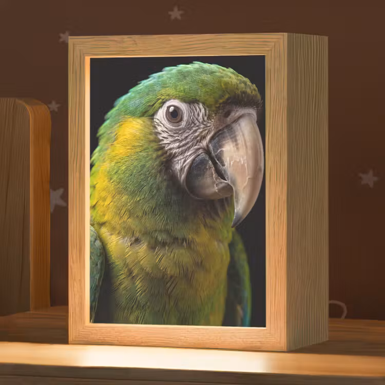 Ara - Portret - Groen Light Box met kabel (Kinderlampje) klein -zzz_3d_website