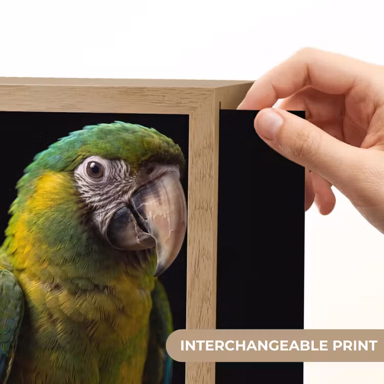 Ara - Portret - Groen Light Box met kabel (Kinderlampje) klein -USP_websiteprintEN