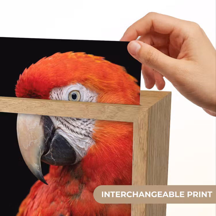 Ara - Portret - Rood Light Box met kabel (Kinderlampje) klein -USP_websiteprintEN