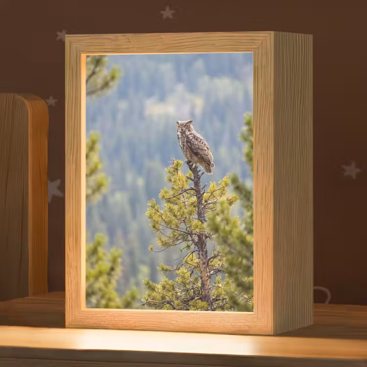 Uil - Oehoe - Bomen - Natuur Light Box met kabel (Kinderlampje) klein -zzz_3d_website