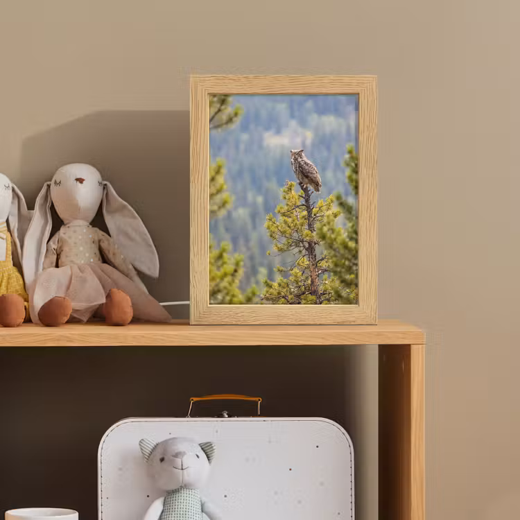 Uil - Oehoe - Bomen - Natuur Light Box met kabel (Kinderlampje) klein -sfeer2_kind