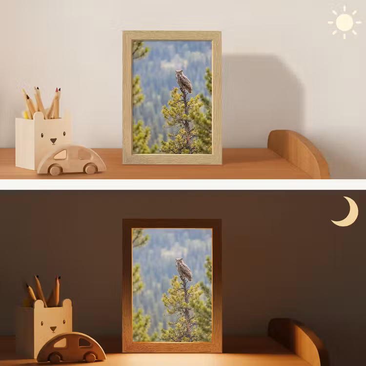 Uil - Oehoe - Bomen - Natuur Light Box met kabel (Kinderlampje) klein -sfeer3_kind