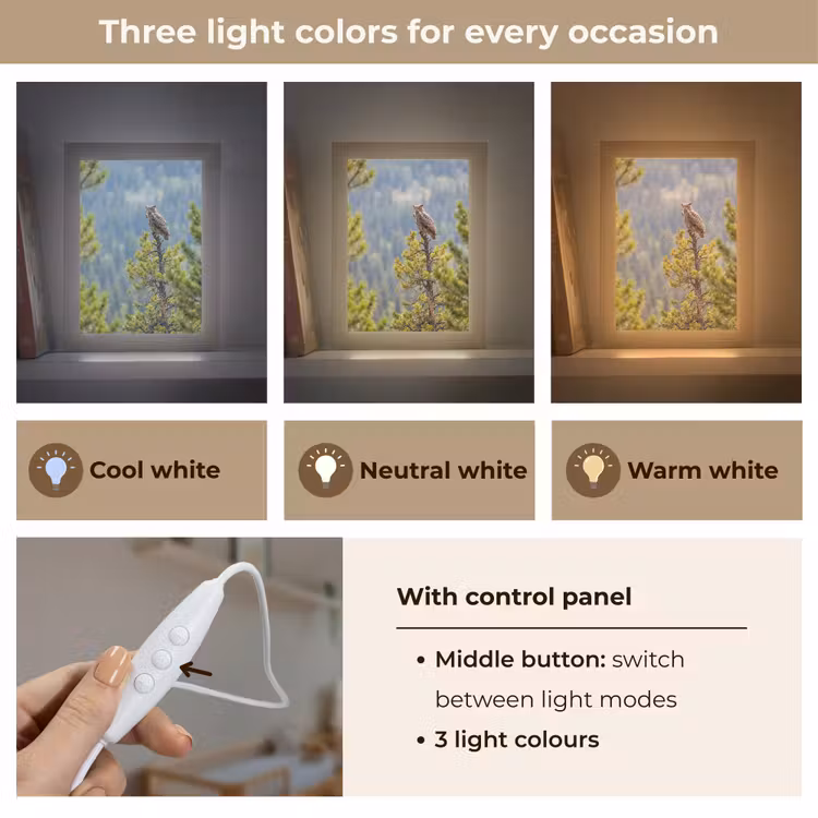Uil - Oehoe - Bomen - Natuur Light Box met kabel (Kinderlampje) klein -USP_lichtkleurEN