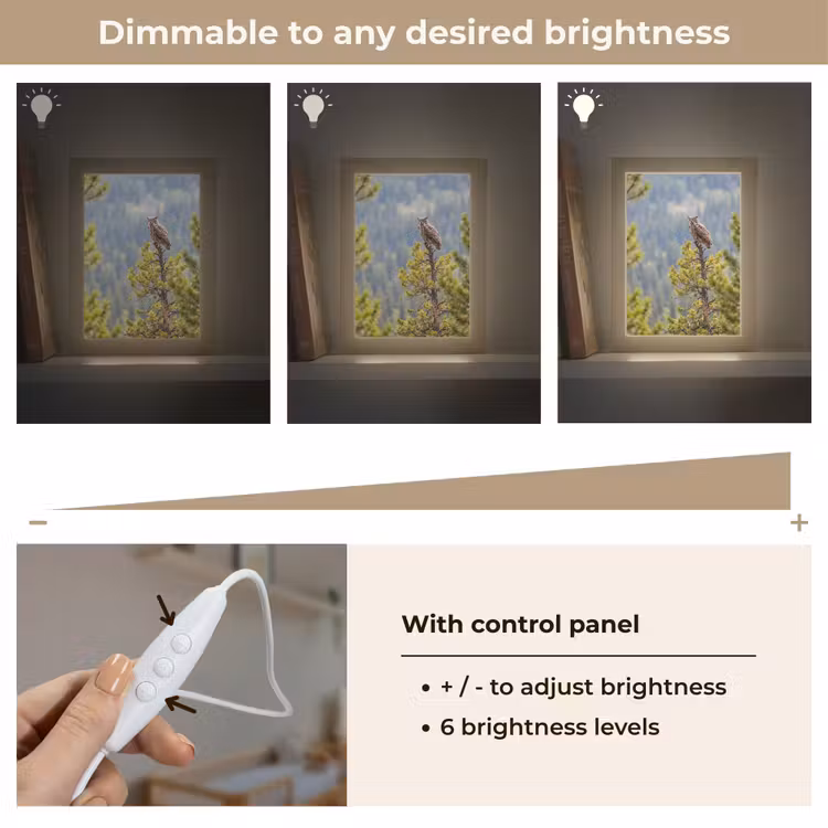 Uil - Oehoe - Bomen - Natuur Light Box met kabel (Kinderlampje) klein -USP_dimbaarEN