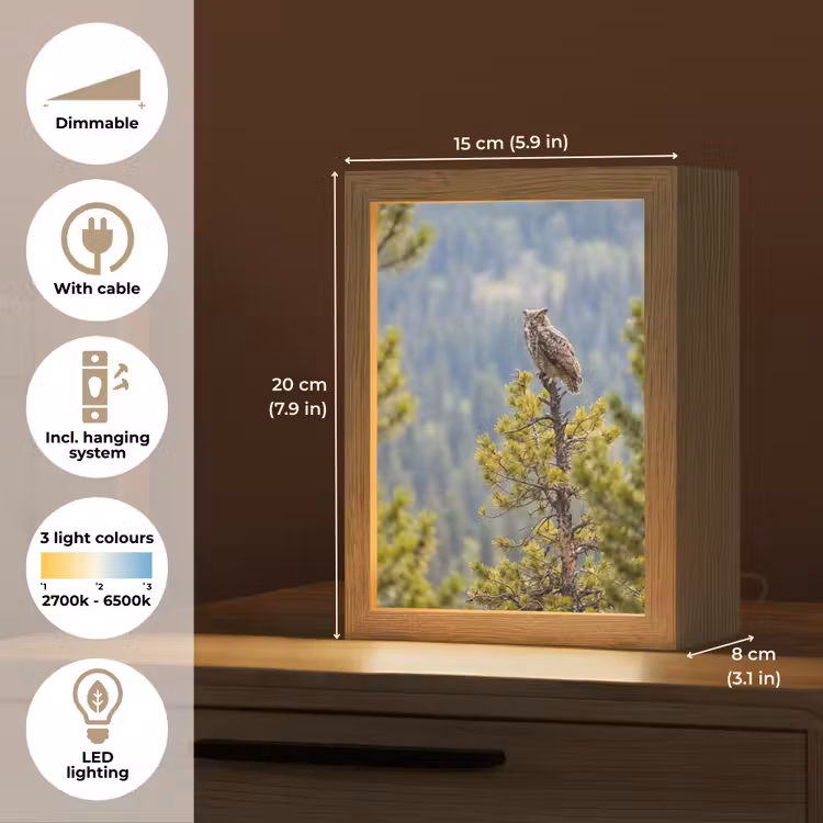 Uil - Oehoe - Bomen - Natuur Light Box met kabel (Kinderlampje) klein -USP_EN