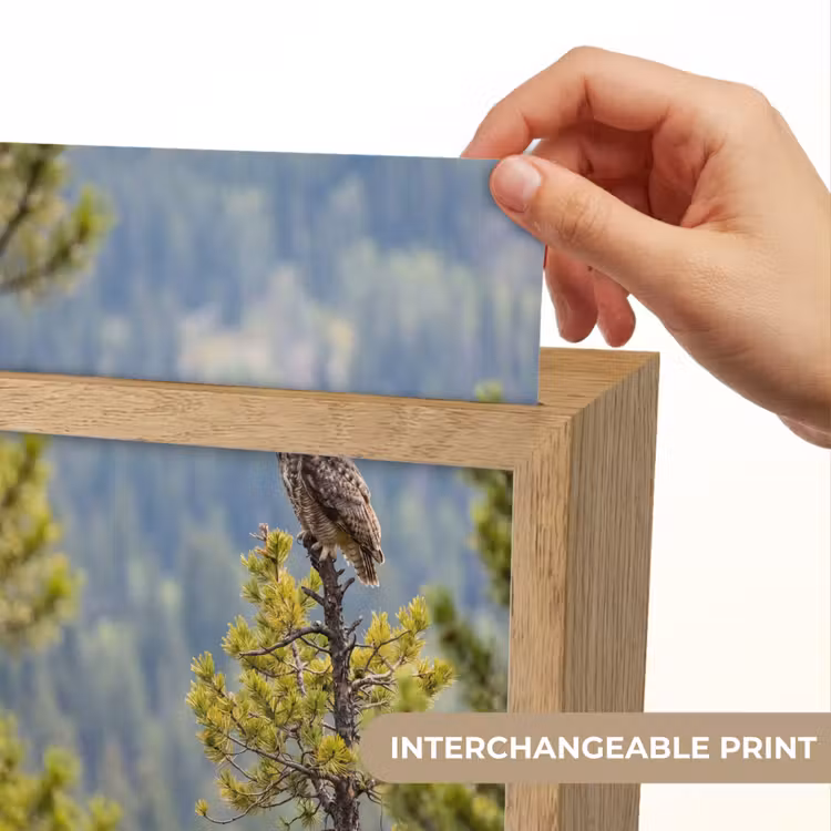 Uil - Oehoe - Bomen - Natuur Light Box met kabel (Kinderlampje) klein -USP_websiteprintEN