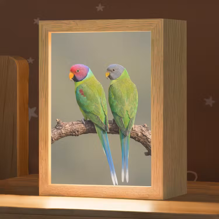 Papagaai - Tak - Natuur - Kleurrijk Light Box met kabel (Kinderlampje) klein -zzz_3d_website