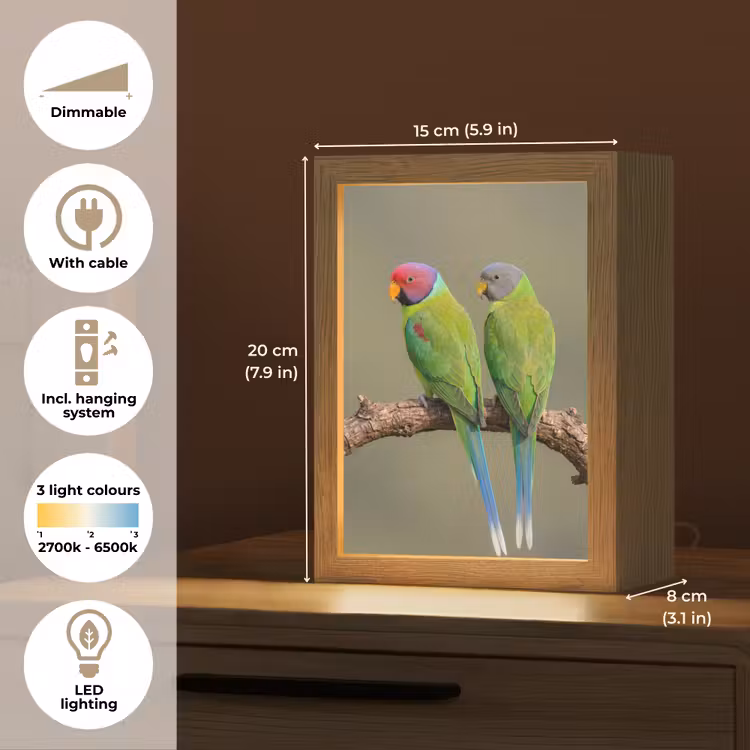 Papagaai - Tak - Natuur - Kleurrijk Light Box met kabel (Kinderlampje) klein -USP_EN