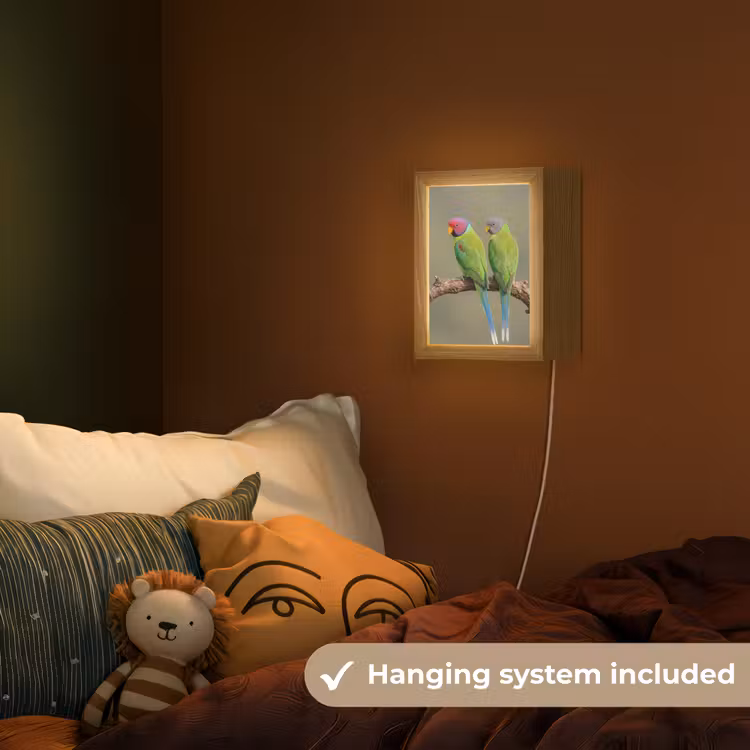 Papagaai - Tak - Natuur - Kleurrijk Light Box met kabel (Kinderlampje) klein -sfeer5_kind_EN