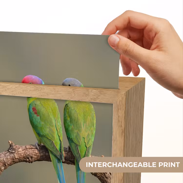 Papagaai - Tak - Natuur - Kleurrijk Light Box met kabel (Kinderlampje) klein -USP_websiteprintEN