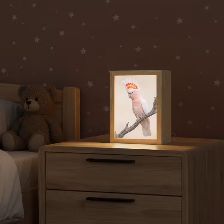 Papagaai - Tak - Roze Light Box met kabel (Kinderlampje) klein -sfeer1_kind