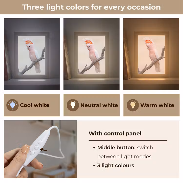 Papagaai - Tak - Roze Light Box met kabel (Kinderlampje) klein -USP_lichtkleurEN