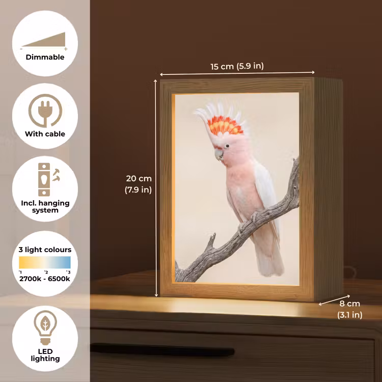 Papagaai - Tak - Roze Light Box met kabel (Kinderlampje) klein -USP_EN
