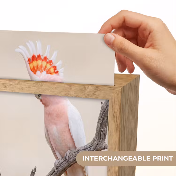 Papagaai - Tak - Roze Light Box met kabel (Kinderlampje) klein -USP_websiteprintEN