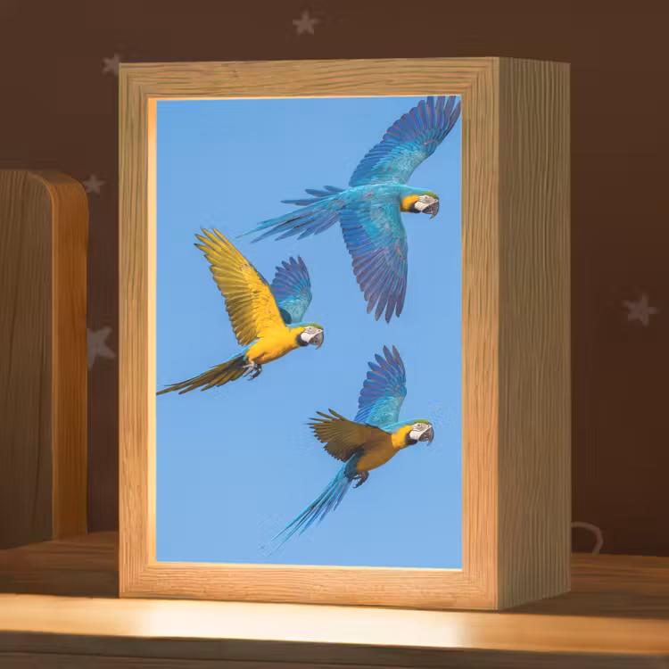 Papagaai - Vliegen - Blauw - Geel Light Box met kabel (Kinderlampje) klein -zzz_3d_website